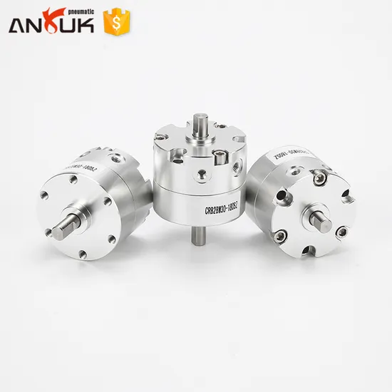 High-Performance Rotary Vane Double Shaft Air Cylinder 10-40mm